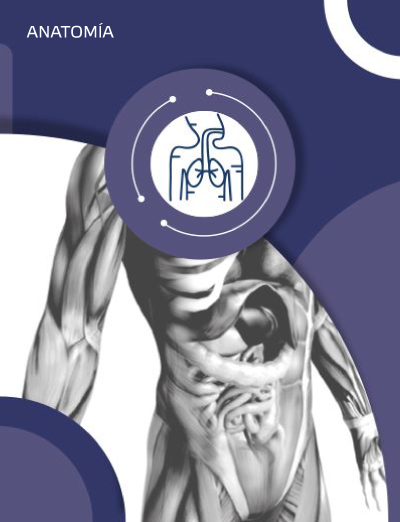 Catálogo de Anatomía